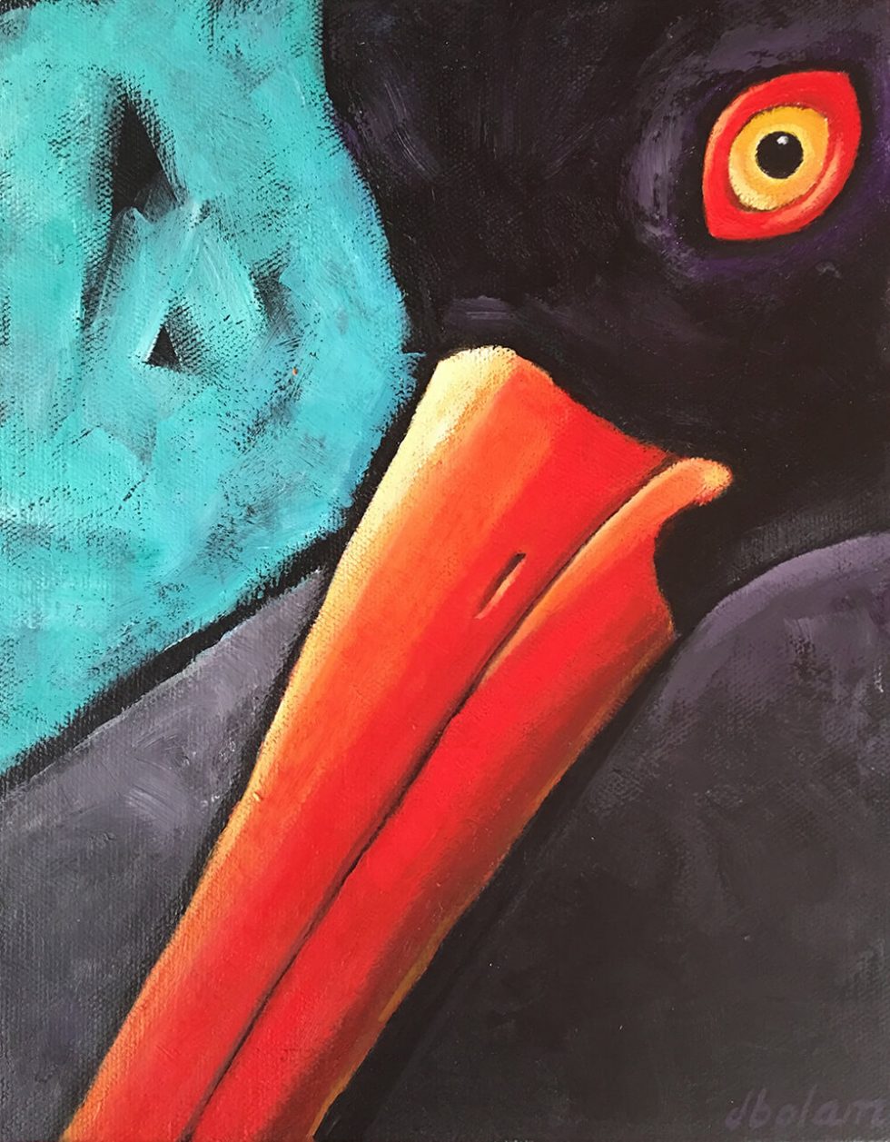 OYSTER CATCHER Donna Bolam Artist