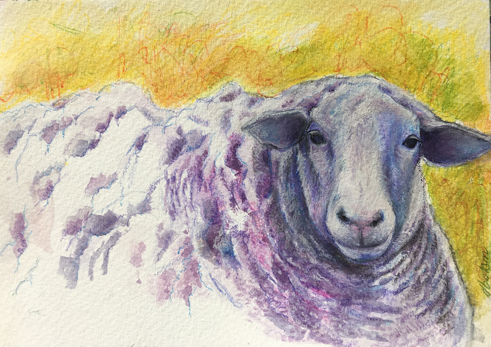 Painting of a sheep